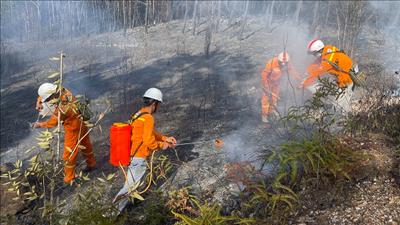 Tăng cường kiểm tra hệ thống truyền tải điện ở khu vực có nguy cơ cháy rừng cao