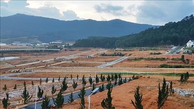 Lâm Đồng: Sắp đấu giá 108 lô đất tại 2 khu dân cư thuộc huyện Di Linh