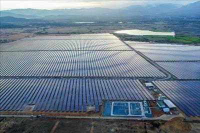 Khánh thành cụm nhà máy điện mặt trời lớn nhất Đông Nam Á tại Ninh Thuận