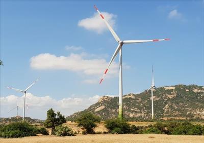 Quảng Trị chấp thuận đầu tư dự án điện gió Hướng Linh 3 