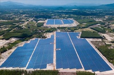 Dự án Nhà máy điện mặt trời Cát Hiệp, Bình Định hòa lưới điện quốc gia
