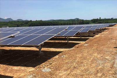 Vận hành dự án nhà máy điện mặt trời hơn 1.100 tỉ đồng tại Quảng Ngãi