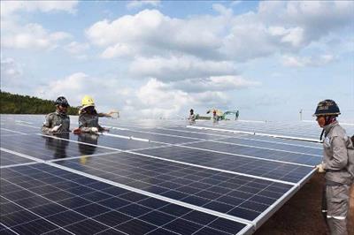 Vận hành hơn 30 dự án nhà máy điện mặt trời trong tháng 6