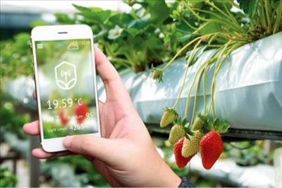 VNPT Smart Agri - giải pháp hỗ trợ nông dân thời 4.0