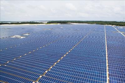 GEC: Sản lượng điện mặt trời đã vượt sản lượng thủy điện