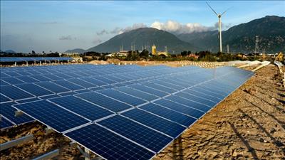 Bình Thuận kiến nghị bổ sung hơn 70 dự án điện gió, mặt trời vào Quy hoạch điện VIII