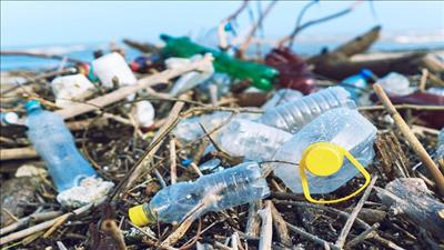 Các ngành chung tay giảm thiểu chất thải nhựa