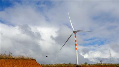 Đề nghị bổ sung dự án điện gió Thắng Lợi Đắk Lắk vào quy hoạch
