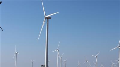 Nhà máy điện gió Bạc Liêu đạt sản lượng 1 tỷ kWh điện