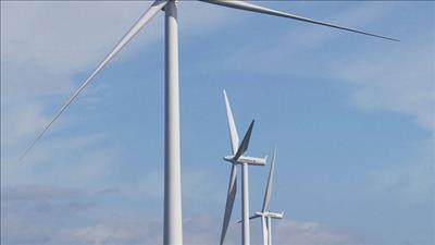 Xem xét đầu tư dự án điện gió Công Lý tỉnh Bà Rịa - Vũng Tàu giai đoạn 1