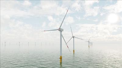 Ký kết hợp đồng dịch vụ phục vụ dự án điện gió ngoài khơi