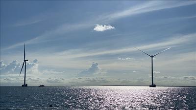 Đối tác Nhật Bản mong muốn hợp tác về điện gió ngoài khơi với Việt Nam