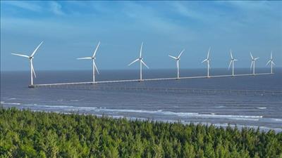 Trà Vinh chấp thuận chủ trương đầu tư dự án điện gió công suất 96 MW