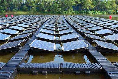 Quảng Ngãi đồng ý cho chủ đầu tư khảo sát dự án điện mặt trời hồ Mạch Điểu