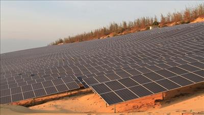 Đánh thức tiềm năng điện mặt trời tại miền Trung - Tây Nguyên