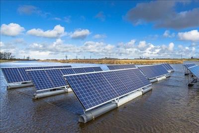 Quảng Ngãi chấp thuận chủ trương đầu tư dự án Nhà máy điện mặt trời Lâm Bình
