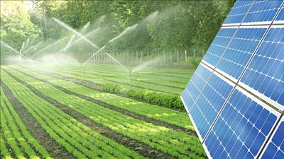 Đề xuất 6 dự án nông nghiệp kết hợp điện mặt trời áp mái tại Hậu Giang