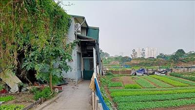Khương Đình, Hà Nội: Nhà không phép ngang nhiên được xây dựng trên đất nông nghiệp