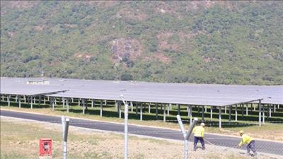 Khởi động giai đoạn 2 dự án điện mặt trời Sao Mai tại An Giang