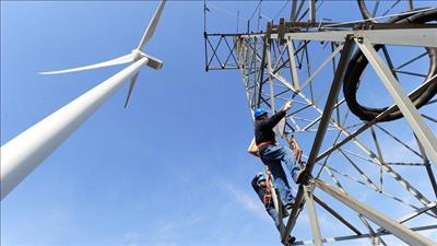 Đối tác Hàn Quốc hỗ trợ Đồng Nai phát triển năng lượng tái tạo
