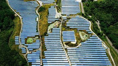 Đất nông nghiệp ở Fukushima được chuyển đổi để sản xuất năng lượng tái tạo