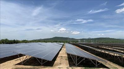 Ninh Thuận: Khánh thành nhà máy điện mặt trời Nhị Hà giai đoạn 1