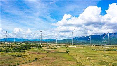 Ninh Thuận chuẩn bị tổ chức hội thảo về năng lượng xanh, hydro xanh