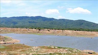 Ninh Thuận thiếu nước nghiêm trọng