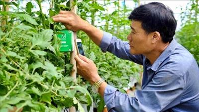 Ứng dụng công nghệ thương hiệu Việt để phát triển nông nghiệp thông minh