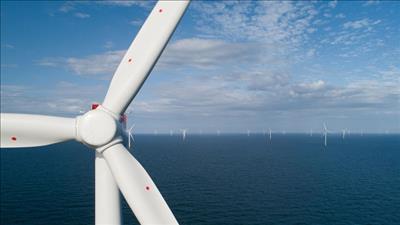 Đến năm 2030, công suất điện gió ngoài khơi toàn cầu sẽ vượt 234 GW 