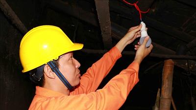 Quảng Nam thúc đẩy sử dụng năng lượng tiết kiệm và hiệu quả