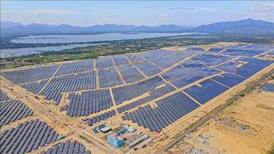 Bình Định xử phạt các chủ đầu tư ba nhà máy điện mặt trời