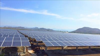 Ký hợp đồng EPC dự án Nhà máy điện mặt trời Sê San 4