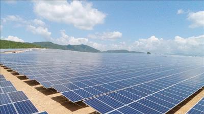 ADB hỗ trợ phát triển dự án điện mặt trời công suất 50 MW tại Tây Ninh