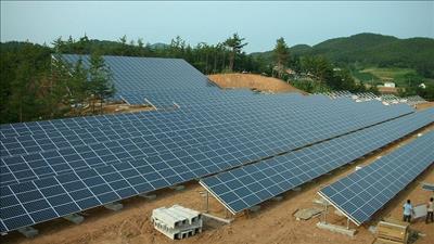 Hỗ trợ công tác chuẩn bị vận hành các nhà máy điện mặt trời