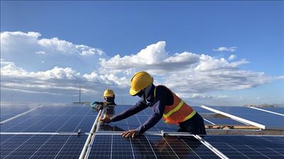 EVNSPC: Sản lượng điện nhận từ các nhà máy điện mặt trời trong tháng 7/2020 là 317,93 triệu kWh