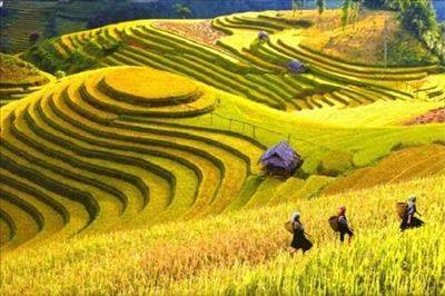 Việt Nam là điểm đến của du khách châu Á