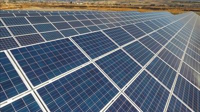 Khánh thành Nhà máy điện mặt trời VNECO Vĩnh Long 49,3 MW