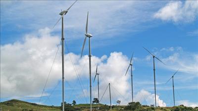 Bình Định sắp có thêm 2 dự án điện gió tại khu kinh tế Nhơn Hội