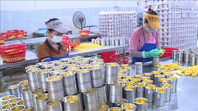 Việt Nam xuất siêu hơn 16 tỷ USD trong 7 tháng năm 2023