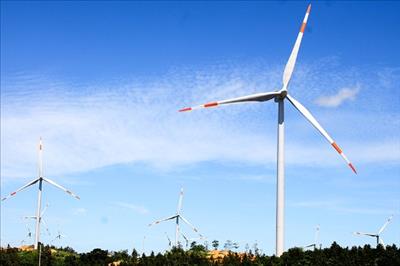 Quảng Trị khởi công nhà máy điện gió với tổng mức đầu tư hơn 1.200 tỷ đồng