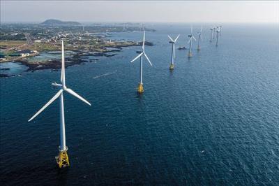 Hàn Quốc phát triển trang trại điện gió nổi ngoài khơi