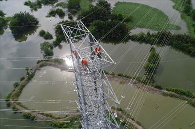 EVNHCMC đóng điện thành công đường dây 220 kV Nam Sài Gòn – Quận 8