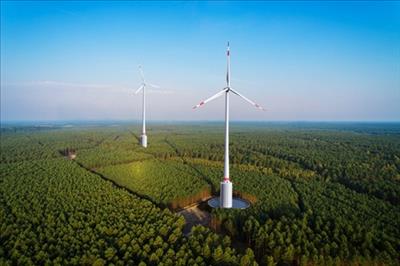Gỡ rào cản trong đầu tư phát triển điện gió