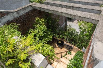 Ngôi nhà xanh như rừng nhiệt đới giữa khu công nghiệp tại Bắc Ninh