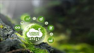 Thủ tướng chỉ đạo đẩy mạnh công tác quản lý tín chỉ carbon