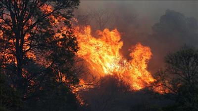 Di sản thế giới bị thiêu rụi trong cháy rừng ở Australia