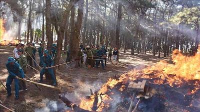 Gia Lai ban hành công điện khẩn về phòng, chống cháy rừng