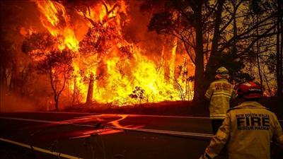 Biến đổi khí hậu làm tăng gấp đôi nguy cơ cháy rừng ở Australia