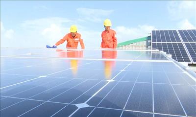 Huyện Bố Trạch (Quảng Bình): Thúc đẩy phát triển điện mặt trời mái nhà